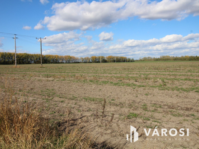 16,5 Ha szántó tanyával együtt eladó!