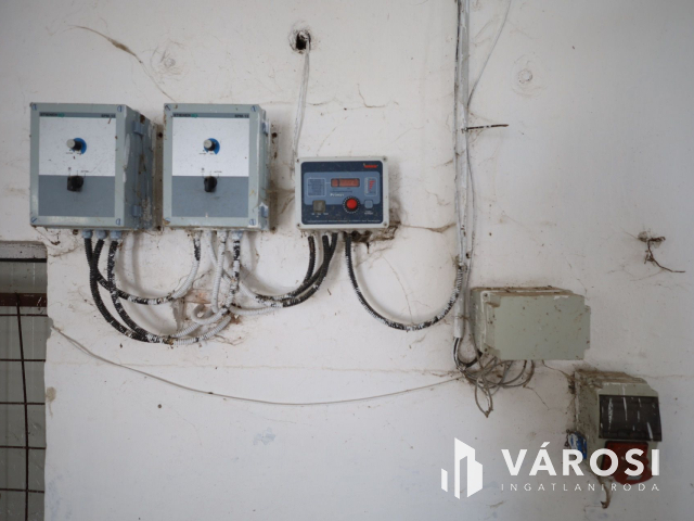 Eladó sertéstelep Szeghalom határában 11 ha területen