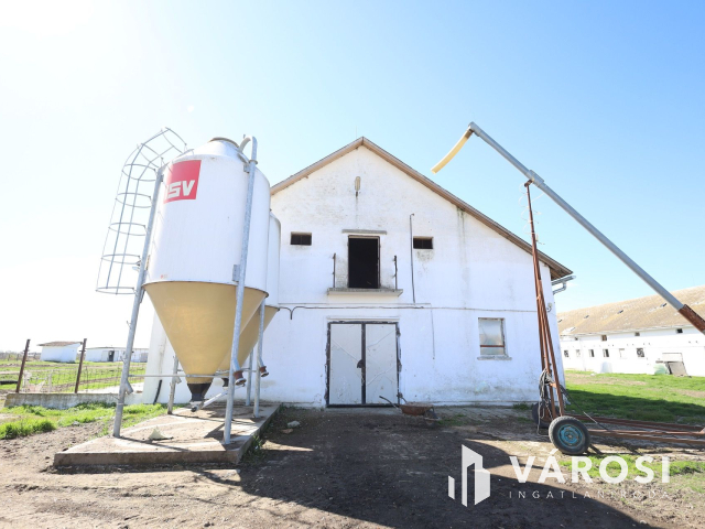 Eladó sertéstelep Szeghalom határában 11 ha területen