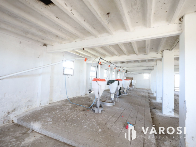 Eladó sertéstelep Szeghalom határában 11 ha területen