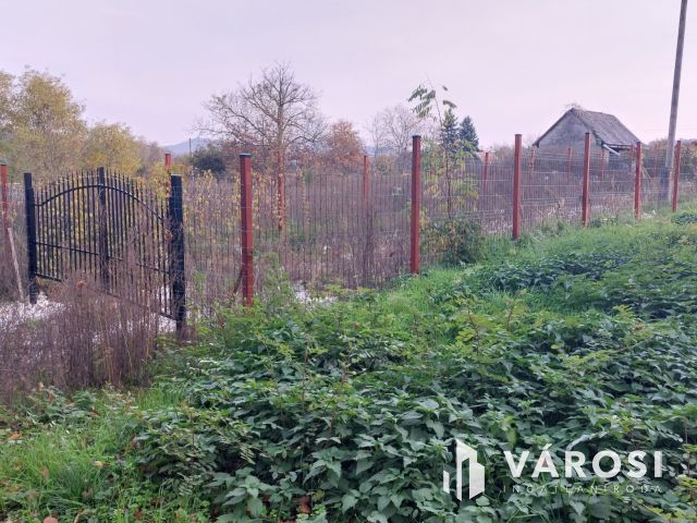 Bazsi szőlő hegyen 1,75 ha terület lakóépülettel eladó