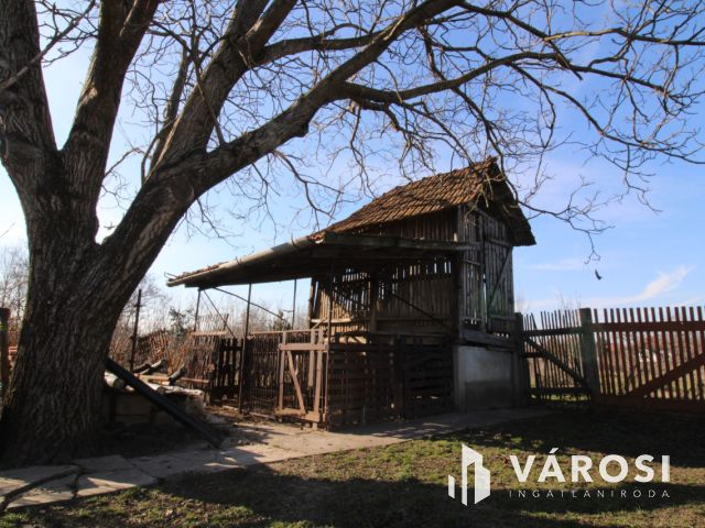 Jó elosztású ház, gazdálkodásra alkalmas telekkel.