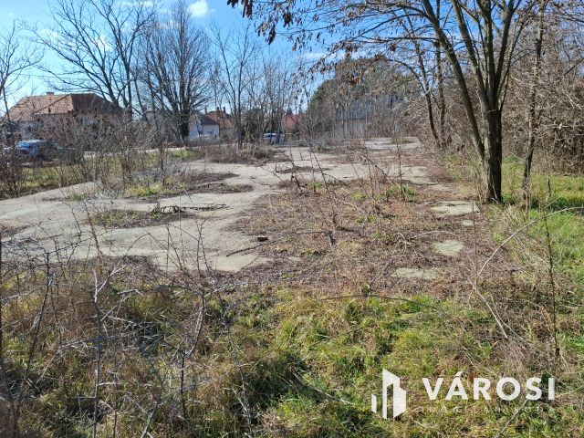 Jó fekvésű építési telek eladó Szőcön