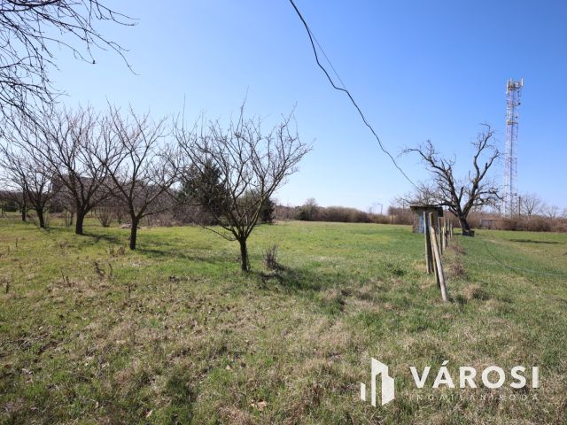 Eladó telek a gyulai ipari parkban