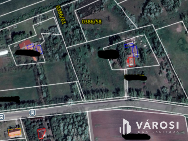 Domaszéki földterület, fákkal díszített