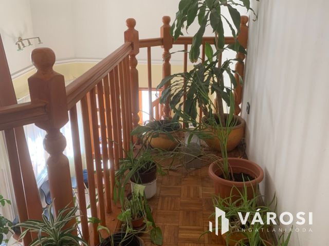 Csigekertben  , rendelőnek is alkalmas , családi ház eladó.