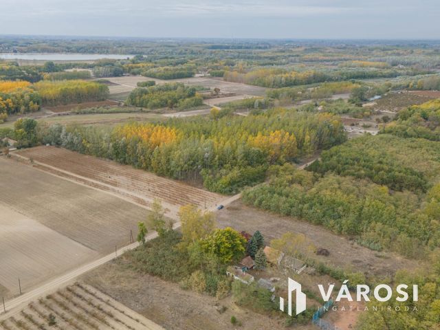 Vadkerti tó mellett teljes a nyugalom