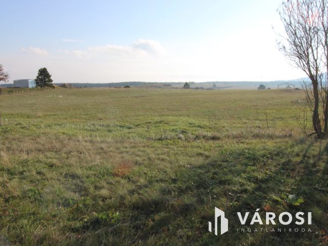 Fejlesztési lehetőség Márkón