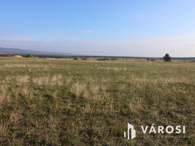 Fejlesztési lehetőség Márkón