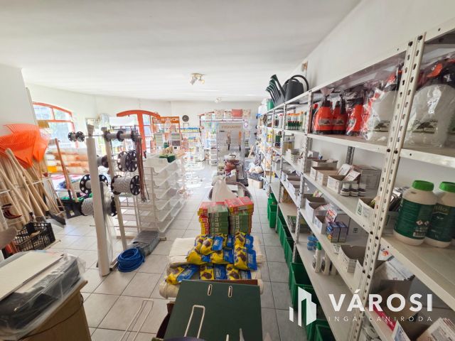 Lehetőségekben gazdag ház Ráckeve központjában