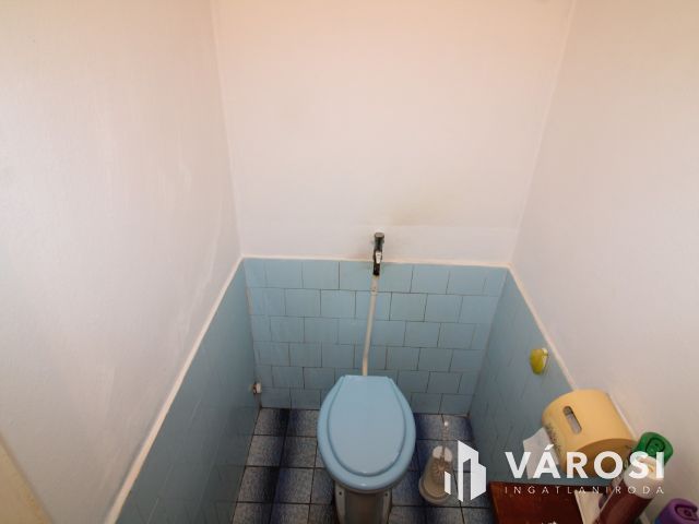 3 szobás ház, garázs és nagy telek.