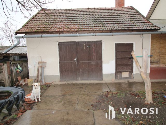 3 szobás ház, garázs és nagy telek.