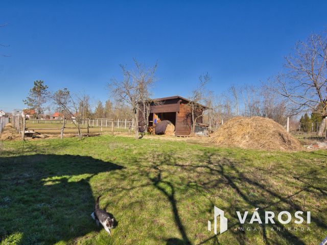 1450 m2-es telek karámmal, ló box-szal, kisházzal eladó