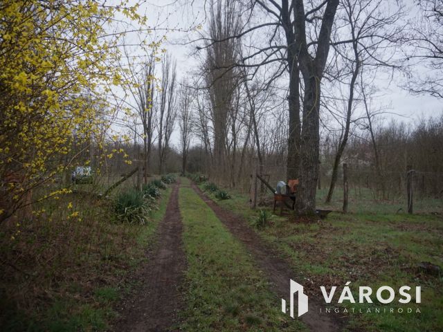 Erdőszéli tip-top tanya!