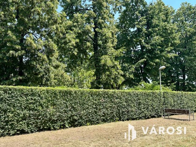 LAKÁS ELADÓ A FŐNIX LAKÓPARKBAN – DEBRECEN, NAGYERDŐALJA!